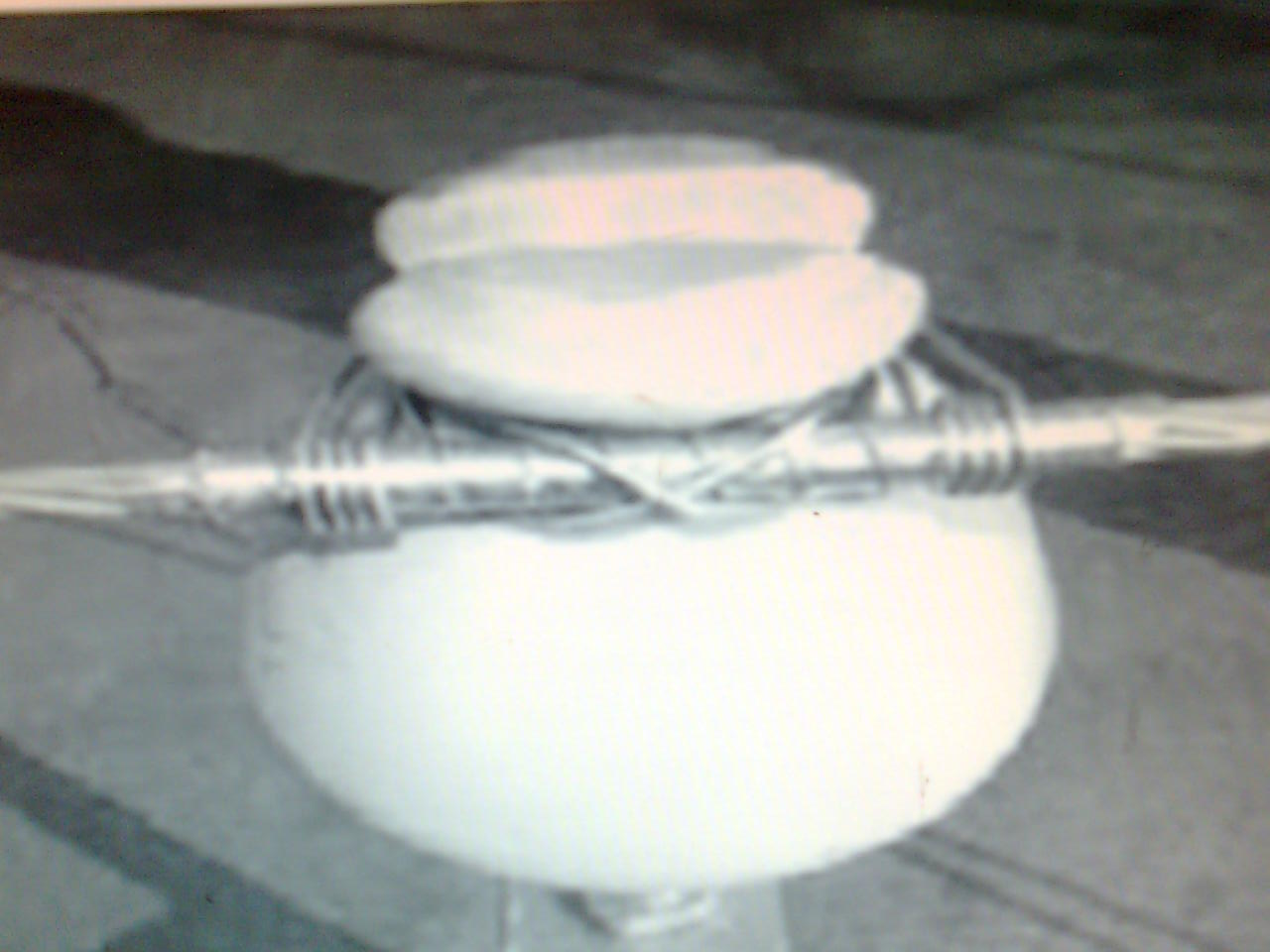10152120_1.jpg